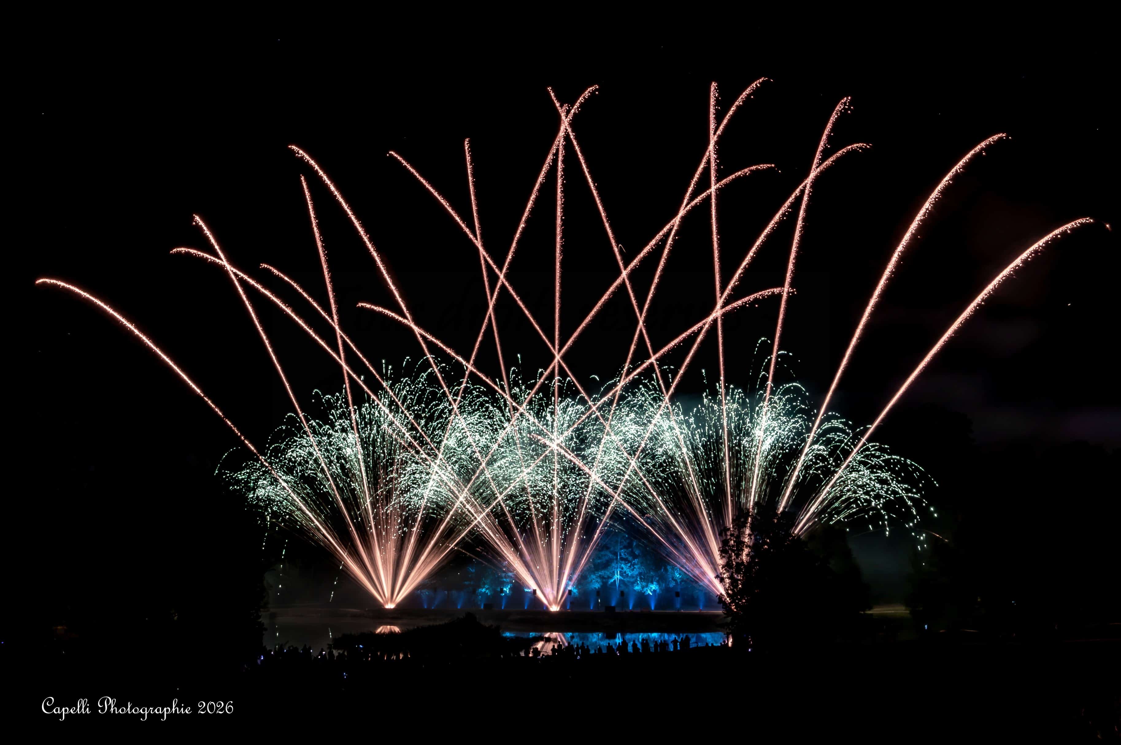 Feu d artifice rose et vert au-dessus du public