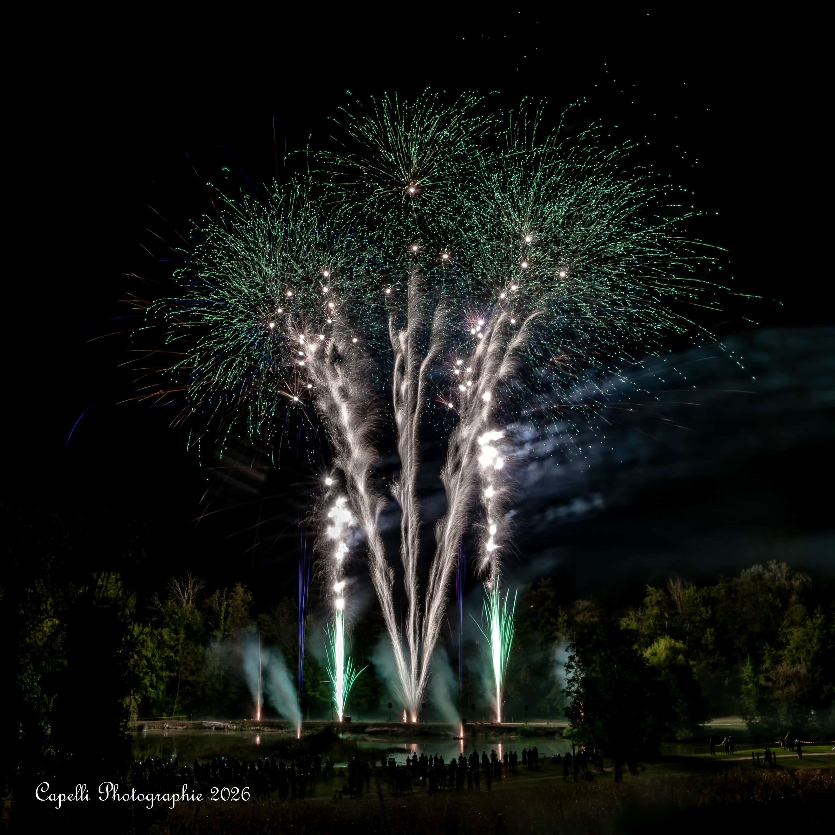 Feu d artifice vert et blanc