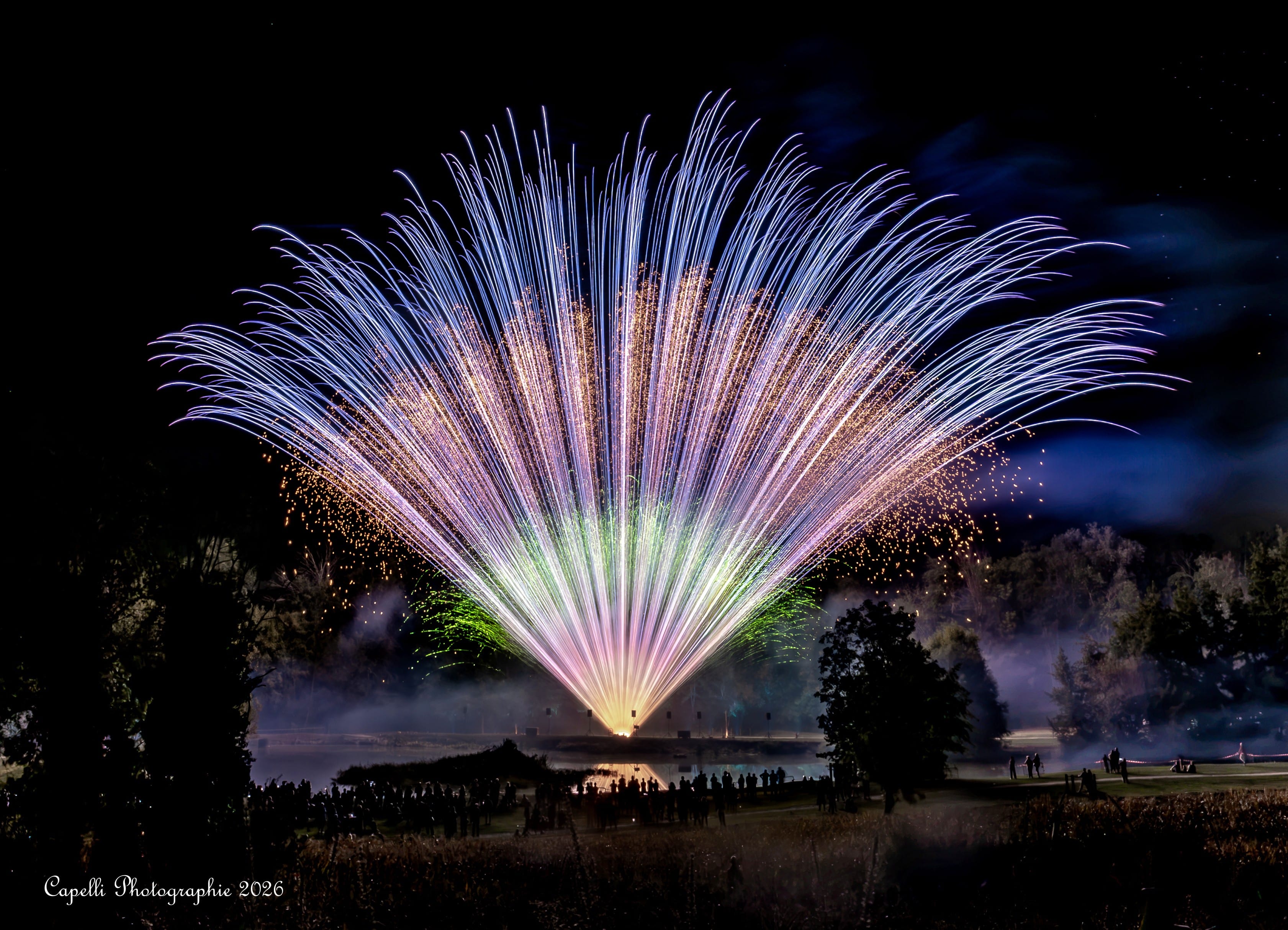 Feu d artifice multicolore en éventail